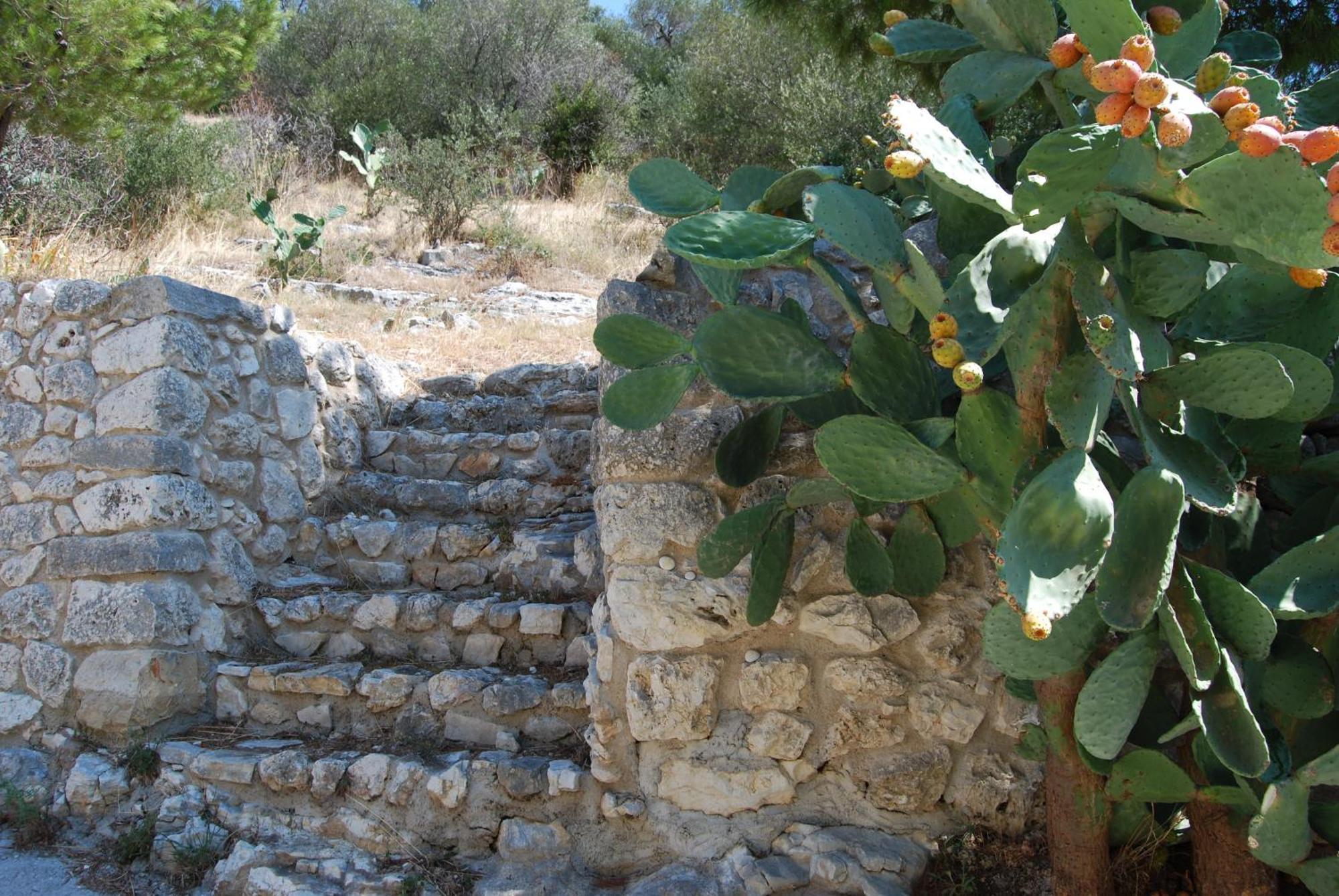 Agriturismo Madonna Incoronata Mattinata Exterior foto